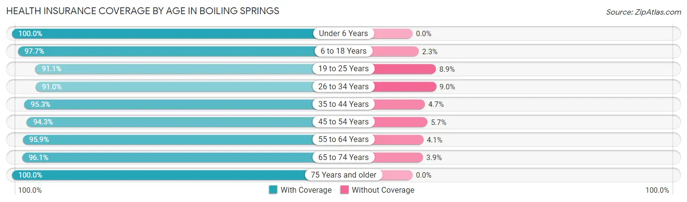 Health Insurance Coverage by Age in Boiling Springs