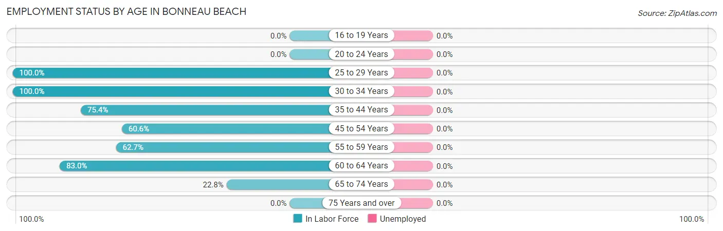 Employment Status by Age in Bonneau Beach