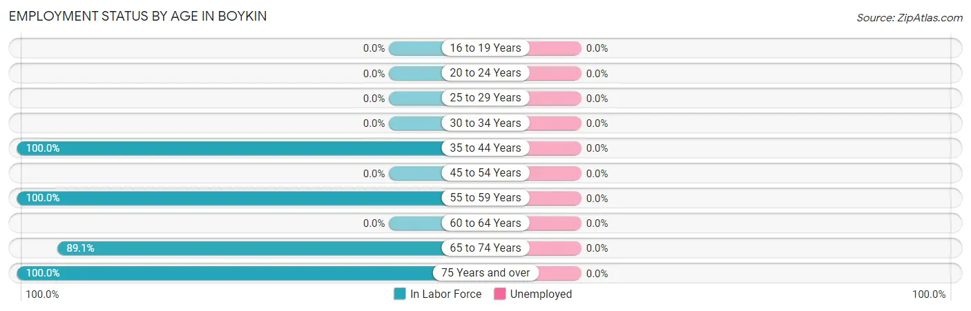 Employment Status by Age in Boykin
