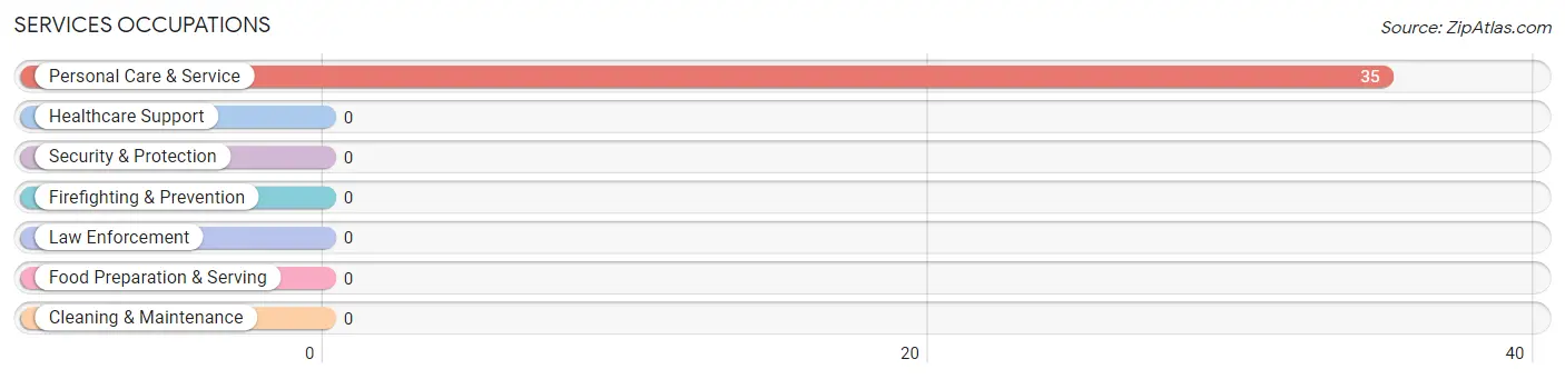 Services Occupations in Boykin