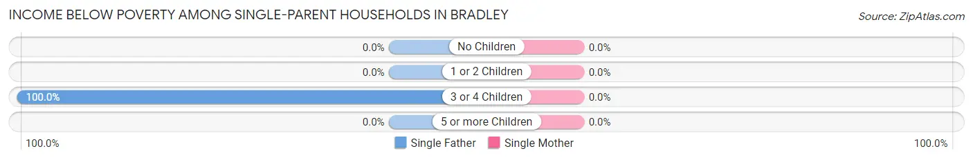 Income Below Poverty Among Single-Parent Households in Bradley