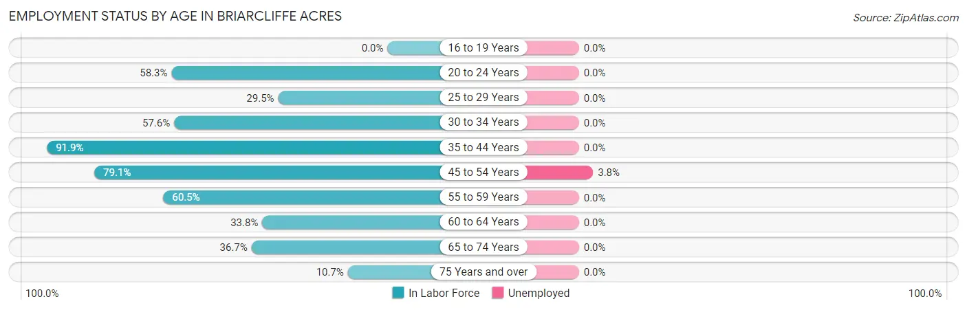 Employment Status by Age in Briarcliffe Acres