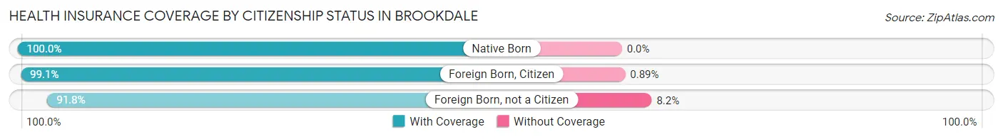 Health Insurance Coverage by Citizenship Status in Brookdale