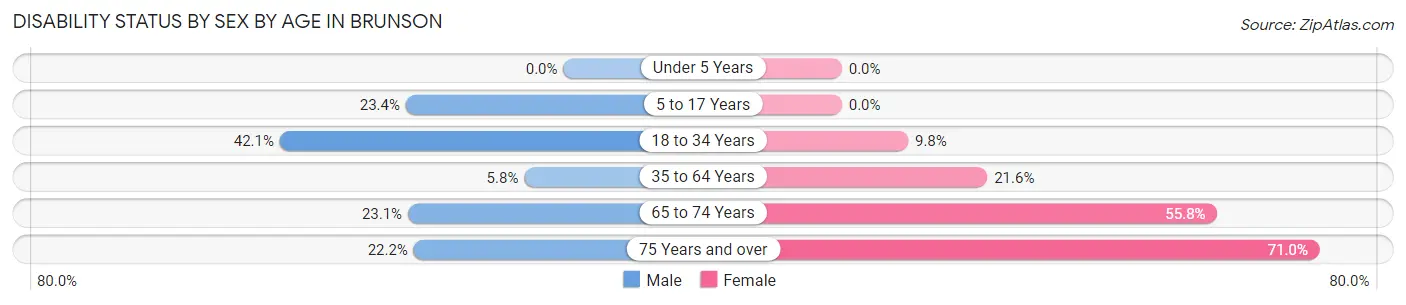 Disability Status by Sex by Age in Brunson