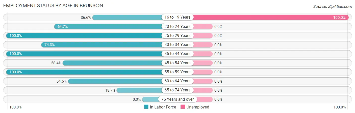 Employment Status by Age in Brunson