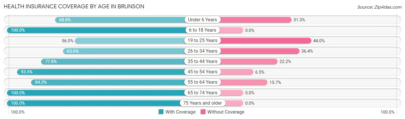Health Insurance Coverage by Age in Brunson