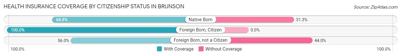 Health Insurance Coverage by Citizenship Status in Brunson