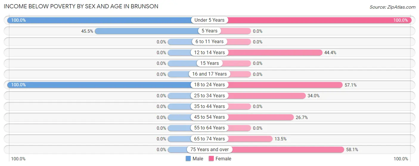 Income Below Poverty by Sex and Age in Brunson