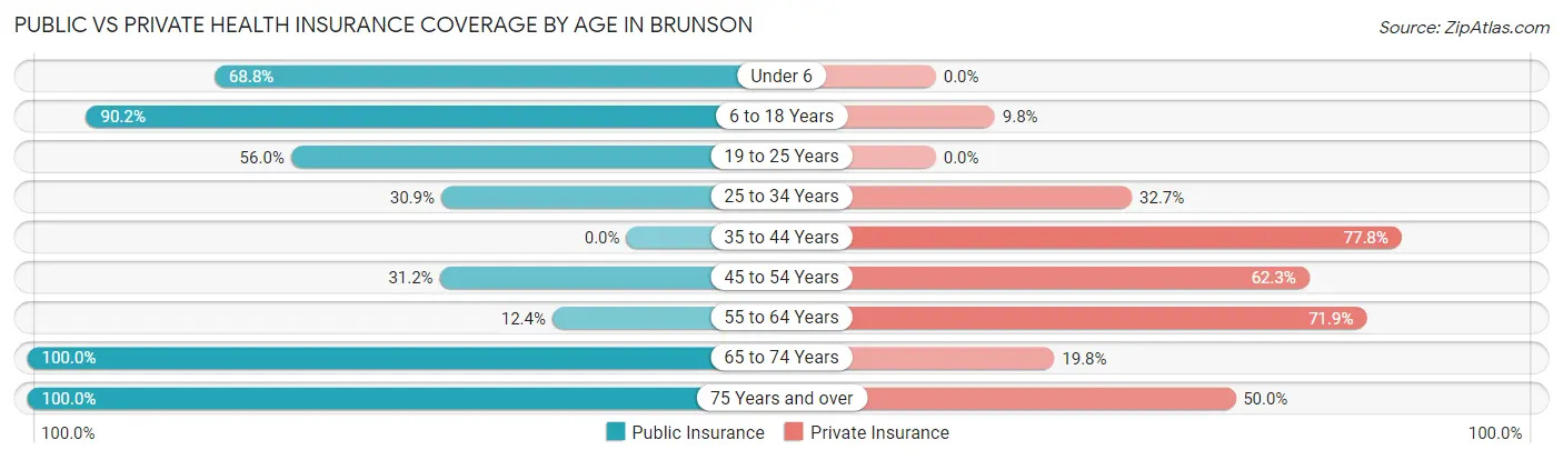 Public vs Private Health Insurance Coverage by Age in Brunson