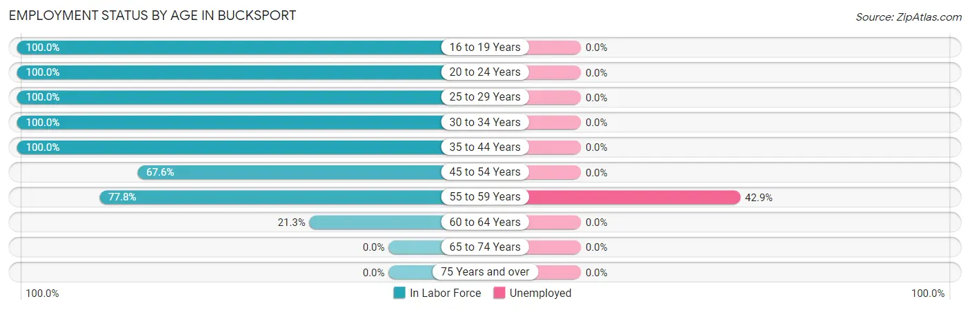 Employment Status by Age in Bucksport