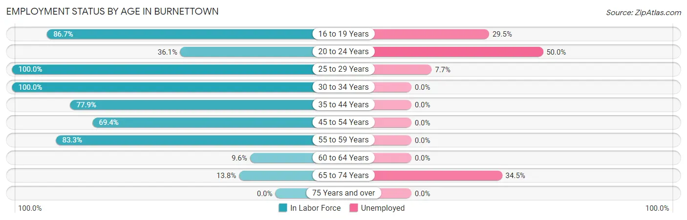 Employment Status by Age in Burnettown