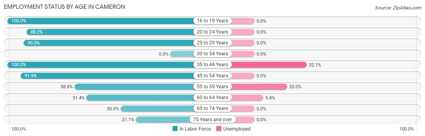 Employment Status by Age in Cameron
