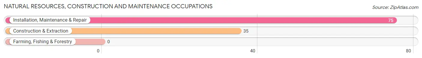 Natural Resources, Construction and Maintenance Occupations in Capitol View