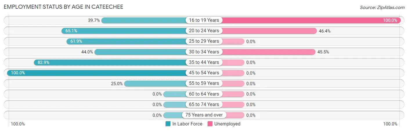 Employment Status by Age in Cateechee