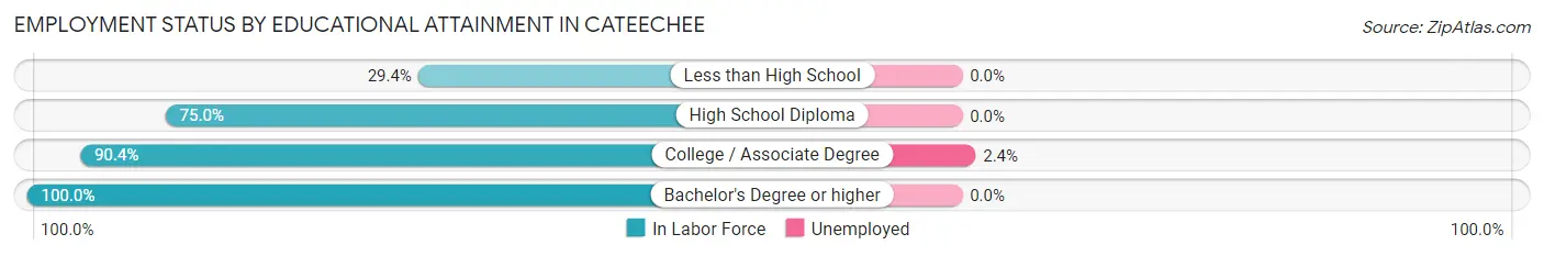 Employment Status by Educational Attainment in Cateechee