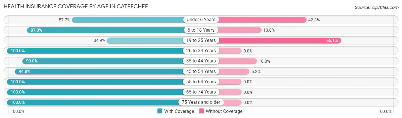 Health Insurance Coverage by Age in Cateechee