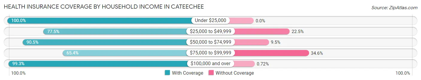 Health Insurance Coverage by Household Income in Cateechee