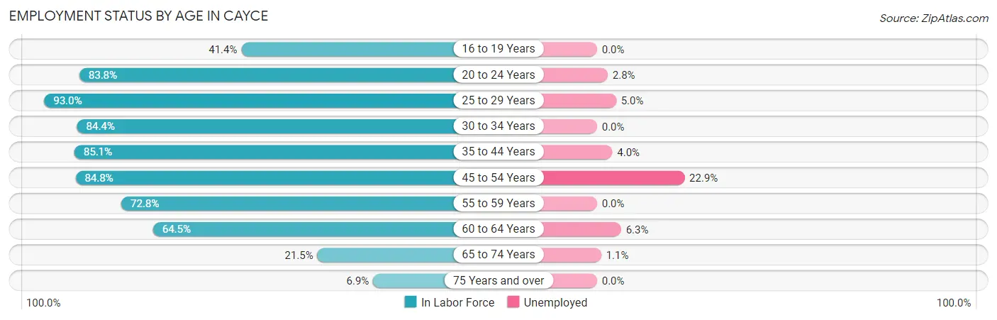 Employment Status by Age in Cayce