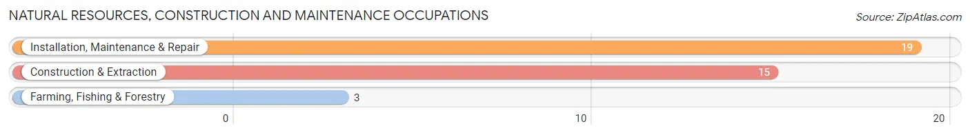 Natural Resources, Construction and Maintenance Occupations in Chapin