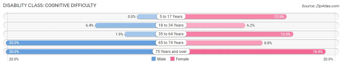 Disability in Chesnee: <span>Cognitive Difficulty</span>