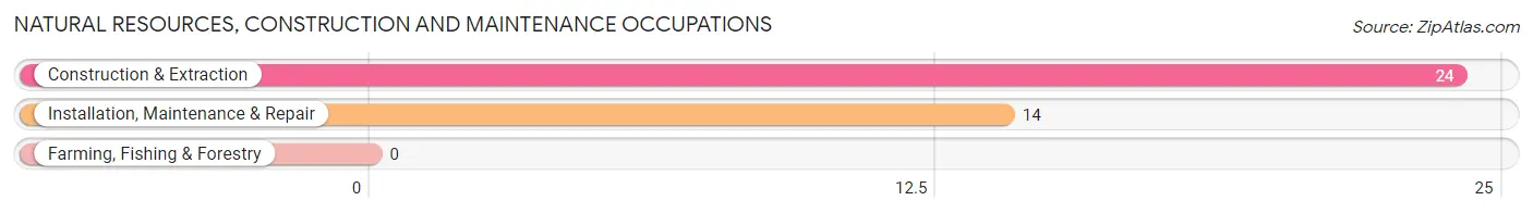 Natural Resources, Construction and Maintenance Occupations in Chesnee