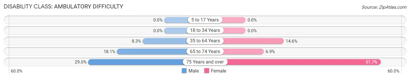 Disability in Chesterfield: <span>Ambulatory Difficulty</span>