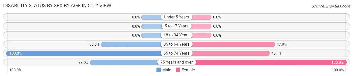 Disability Status by Sex by Age in City View