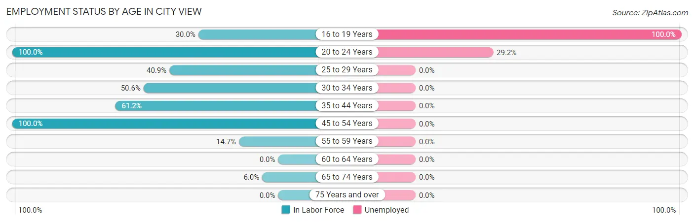 Employment Status by Age in City View