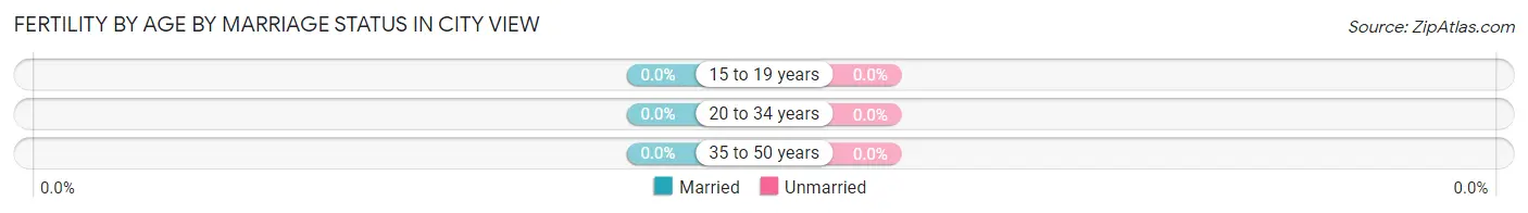 Female Fertility by Age by Marriage Status in City View