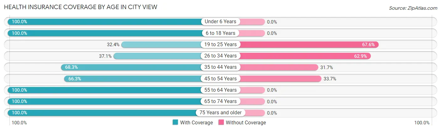 Health Insurance Coverage by Age in City View