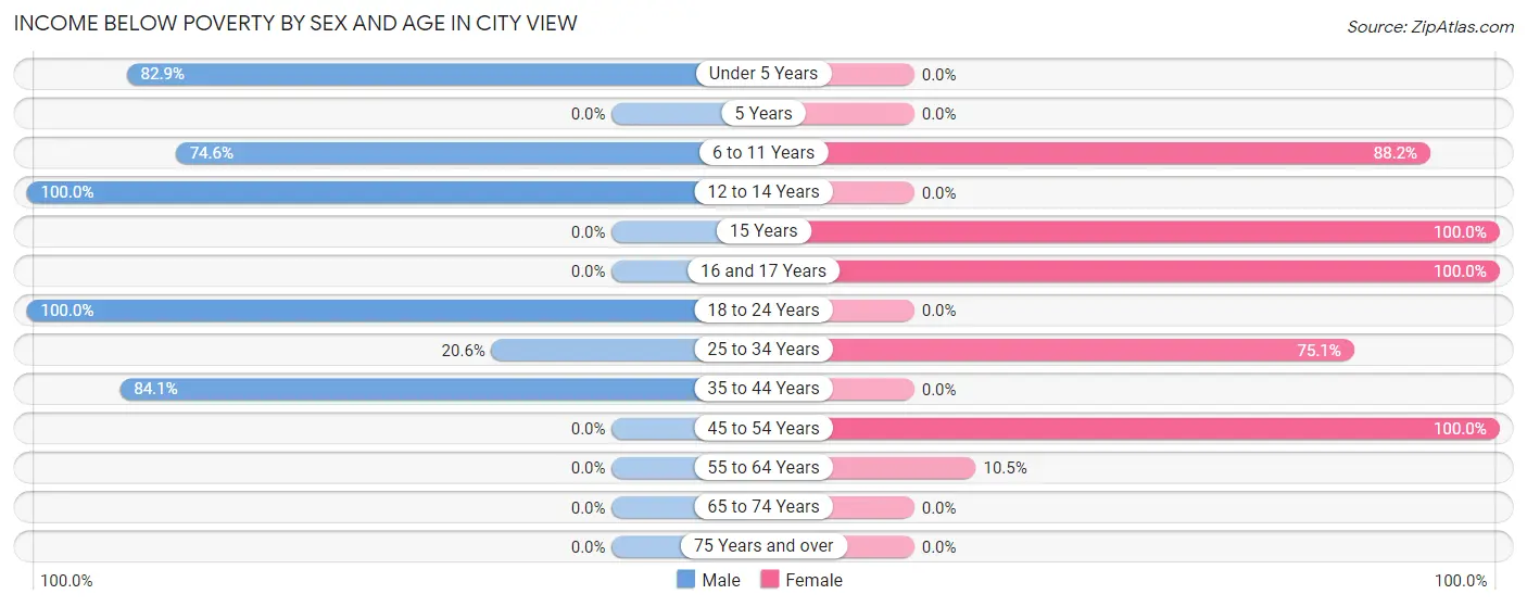 Income Below Poverty by Sex and Age in City View