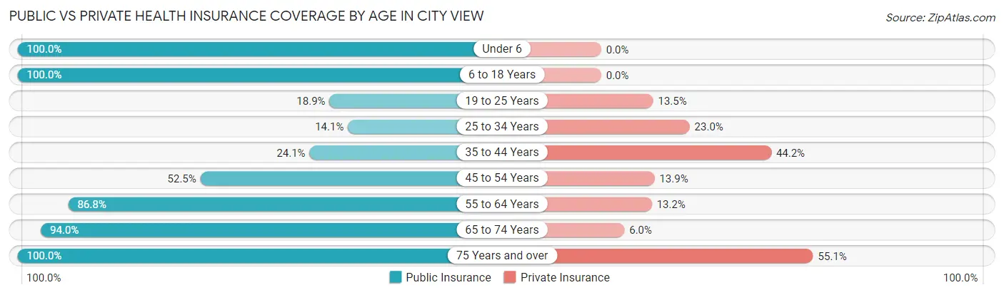 Public vs Private Health Insurance Coverage by Age in City View