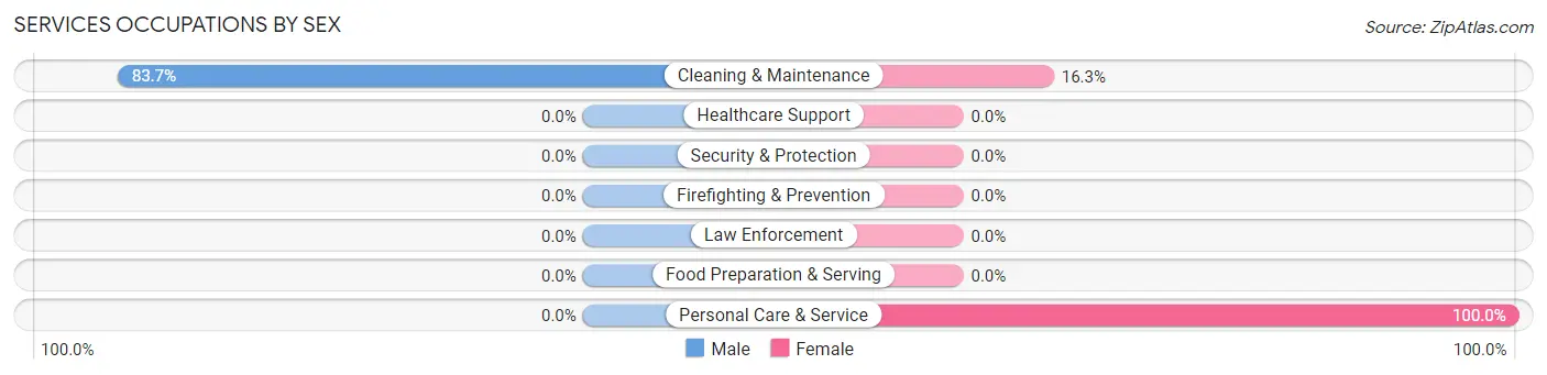 Services Occupations by Sex in City View