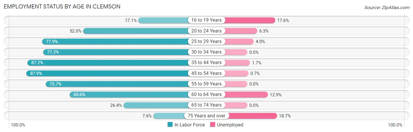Employment Status by Age in Clemson