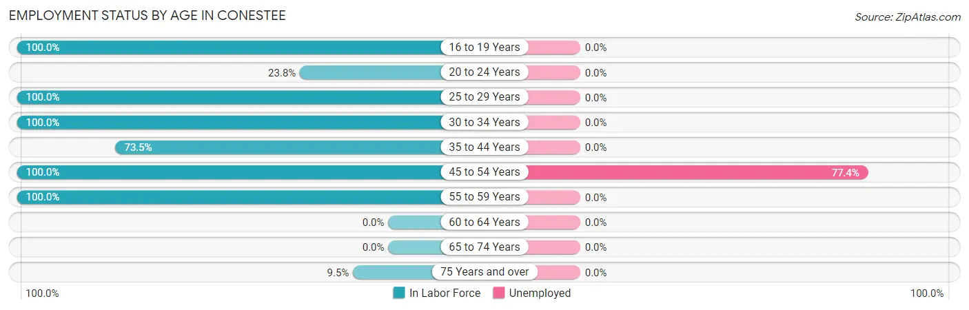 Employment Status by Age in Conestee