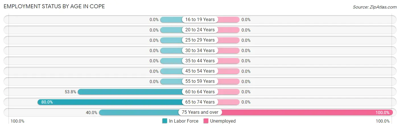 Employment Status by Age in Cope