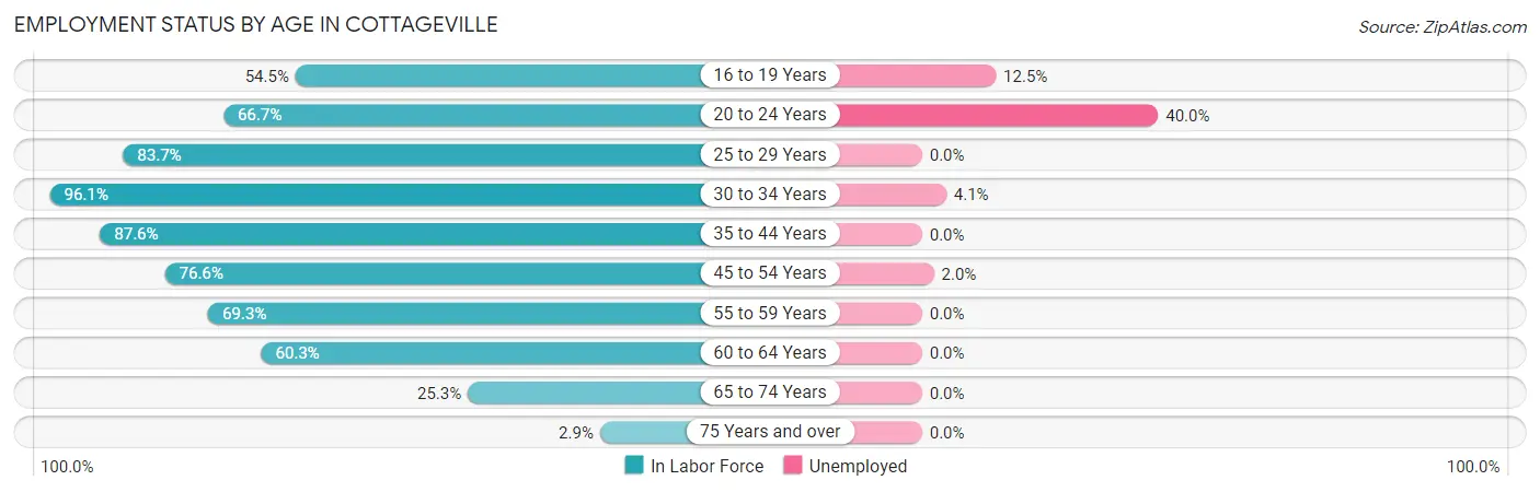 Employment Status by Age in Cottageville