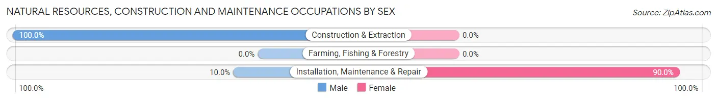 Natural Resources, Construction and Maintenance Occupations by Sex in Cottageville