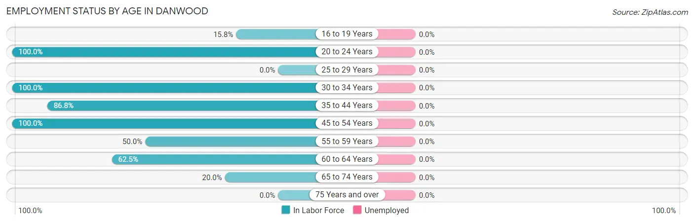 Employment Status by Age in Danwood