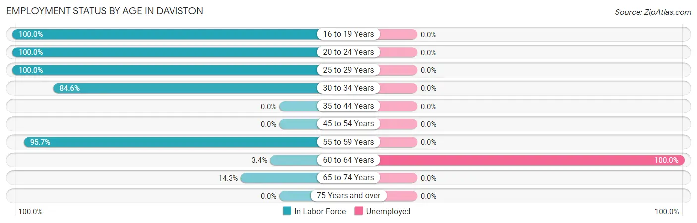 Employment Status by Age in Daviston