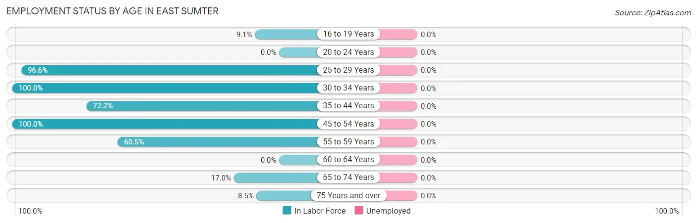 Employment Status by Age in East Sumter