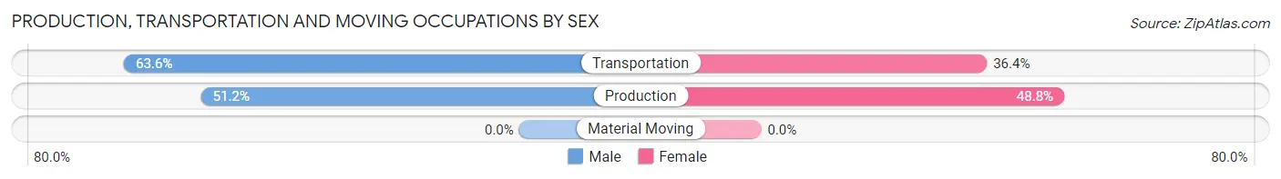 Production, Transportation and Moving Occupations by Sex in East Sumter