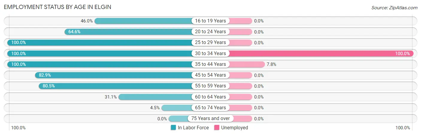 Employment Status by Age in Elgin