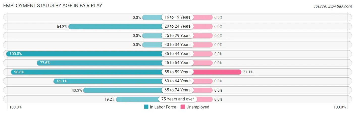Employment Status by Age in Fair Play
