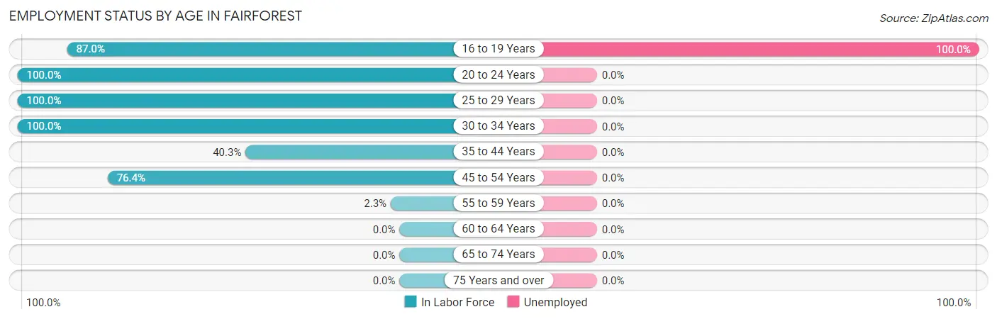 Employment Status by Age in Fairforest