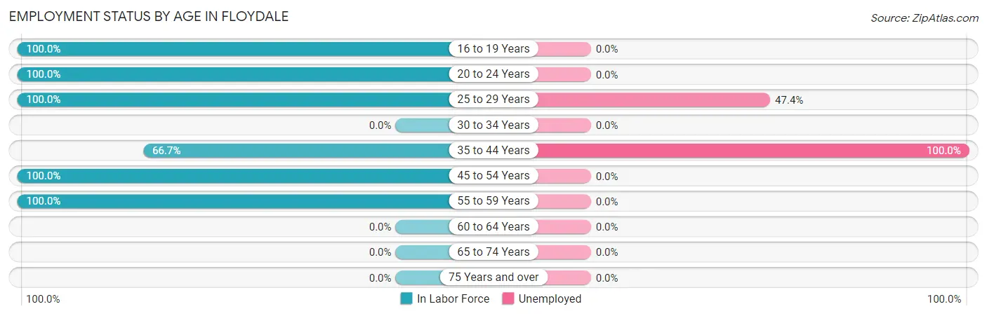 Employment Status by Age in Floydale