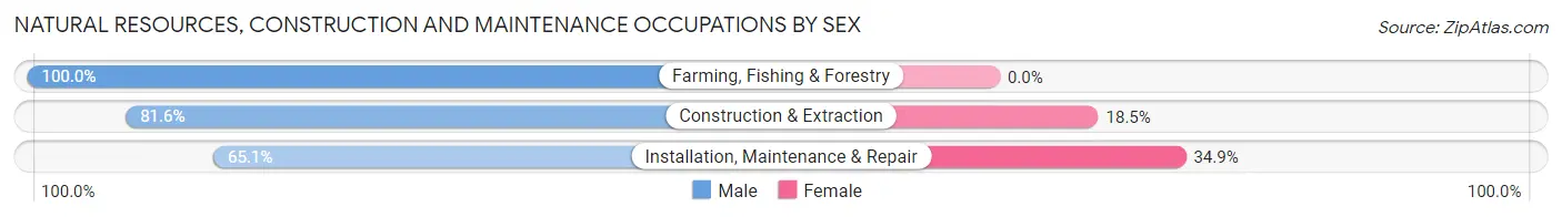 Natural Resources, Construction and Maintenance Occupations by Sex in Gantt