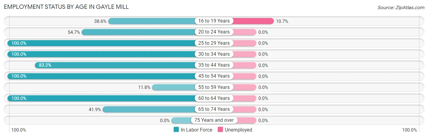 Employment Status by Age in Gayle Mill