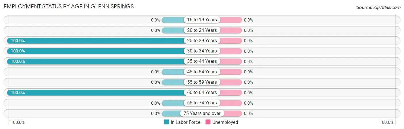 Employment Status by Age in Glenn Springs