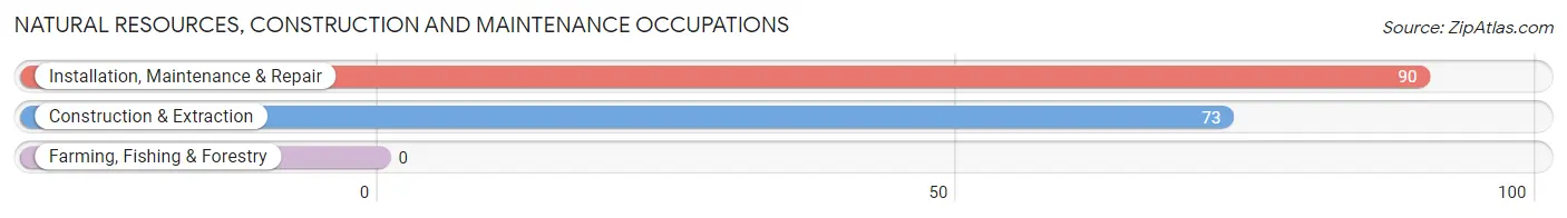 Natural Resources, Construction and Maintenance Occupations in Gloverville